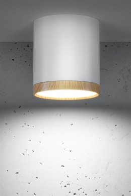 Lampa sufitowa TUBA 7,5 biało-drewniana LED - Candellux Lighting
