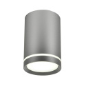 Lampa sufitowa TUBA 10 srebrna - Candellux Lighting