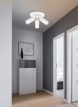 Plafon sufitowy COLLY 3 biały talerz regulowany spot - Candellux Lighting