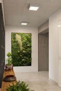 Plafon RIZA beton kwadrat oświetlenie sufitowe - Sollux Lighting - wizualizacja