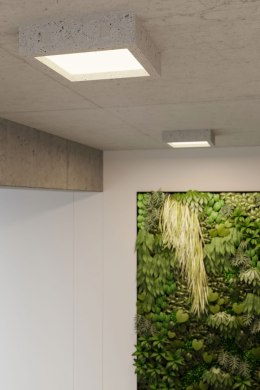 Plafon RIZA beton kwadrat oświetlenie sufitowe LED - Sollux Lighting