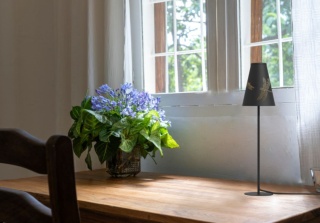 Lampa stołowa TRIFLE czarno-złota z abażurem z ważką - Nowodvorski Lighting