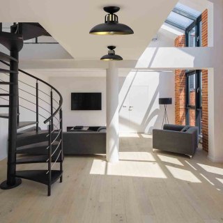 Lampa sufitowa FELIX BLACK/GOLD czarno-złota w stylu loft - Milagro