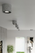 Plafon BASIC 1 beton lampa natynkowa tuba sufitowa pojedyncza - Sollux Lighting