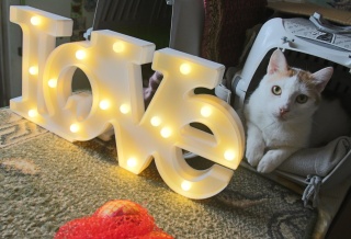 Lampka stojąca LOVE LED dekoracja świetlna napis ledowy miłość - E-Light