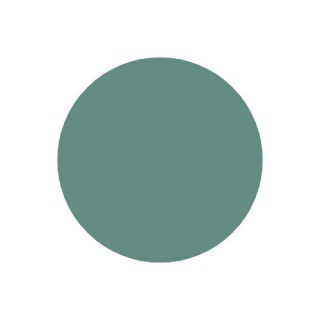 Kinkiet HOLAR okrągły zielony 25 cm LED 6W - Ledea