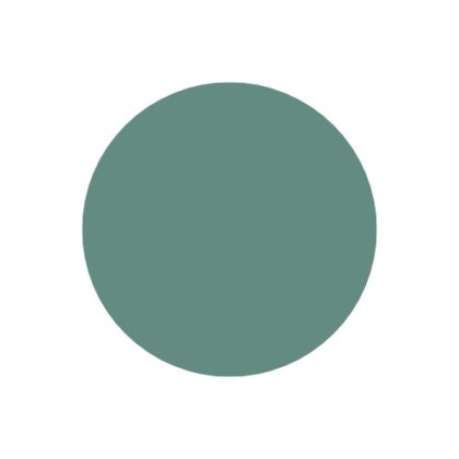 Kinkiet HOLAR okrągły zielony 25 cm LED 6W - Ledea