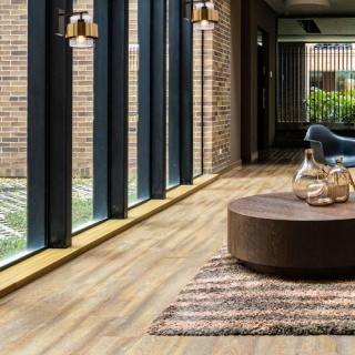 Kinkiet SPIEGA czarny / mosiądz szklany klosz nowoczesny loft - Candellux Lighting