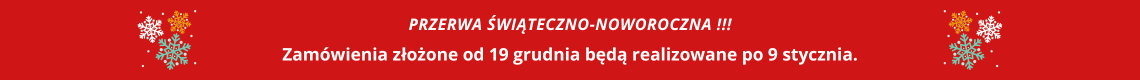 Przerwa świąteczno-noworoczna